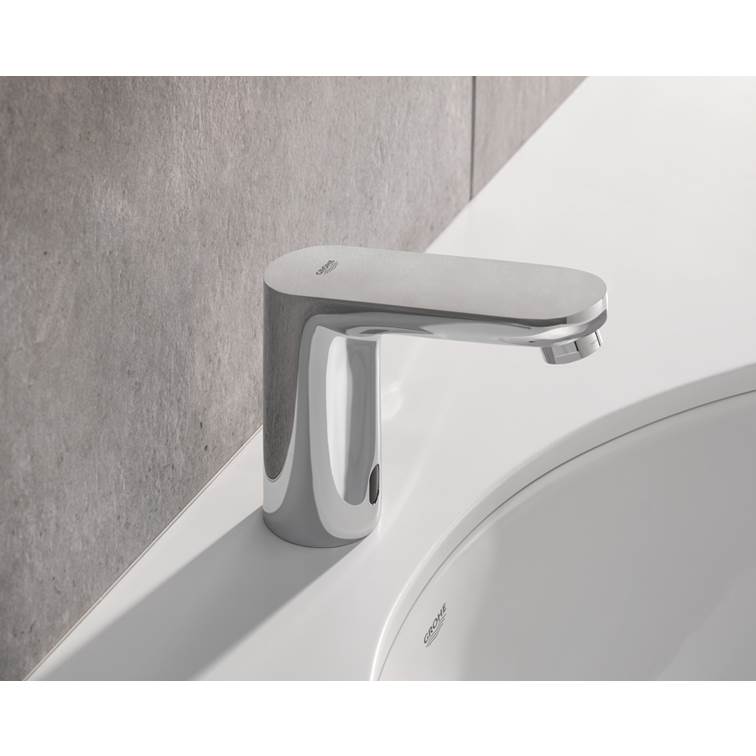 2022公式店舗 GROHE グローエ 洗面用水栓 ユーロスマート シングルレバー洗面混合栓 コールドスタート仕様 引棒なし 寒冷地仕様 